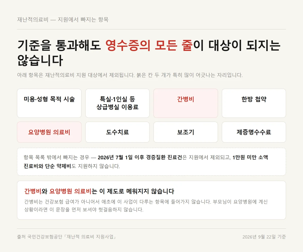 재난적의료비 지원에서 빠지는 간병비 요양병원 의료비 등 제외 항목 여덟 가지 정리