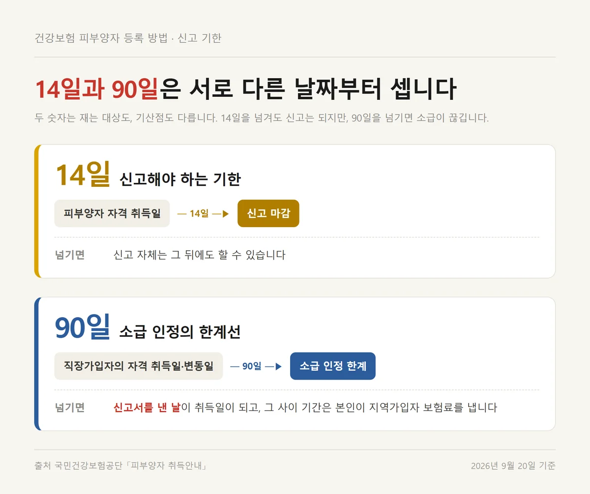 건강보험 피부양자 등록 방법에서 신고 기한 14일과 소급 인정 90일의 기산점 비교