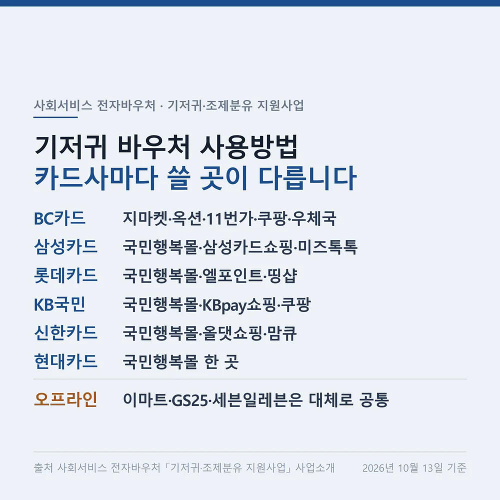 기저귀 바우처 사용방법을 카드사 여섯 곳의 온라인·오프라인 사용처로 정리한 자료카드