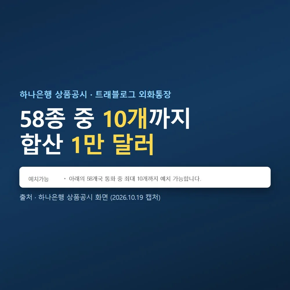 트래블로그 외화통장 예치 한도 1만 달러와 통화 10종 제한 공시 안내 화면